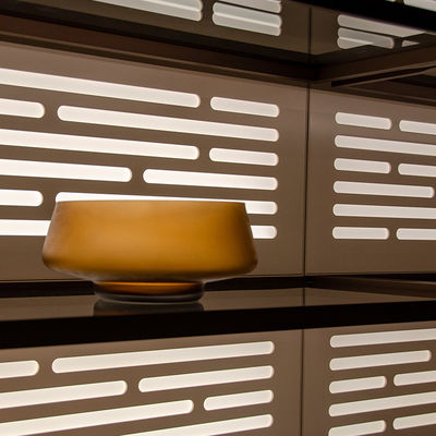 Chambres à coucher contemporaines Armoires de rangement Armoires avec étagère en verre en aluminium