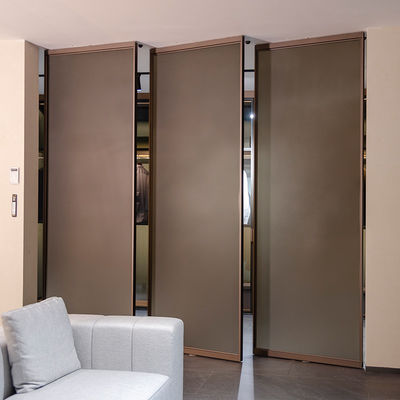 Portes intérieures en aluminium à pivot d'entrée OEM
